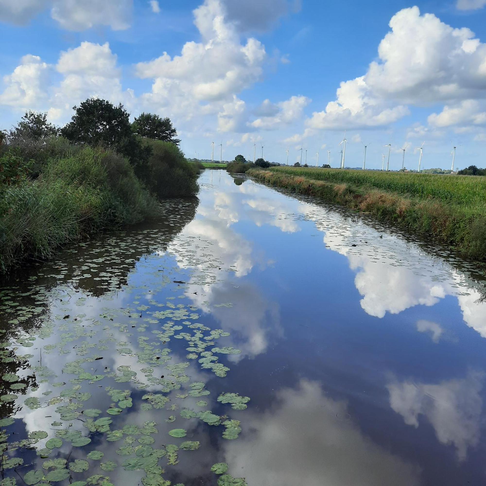 Vila Harle-Casa.Ostfriesland Altfunnixsiel Exteriér fotografie